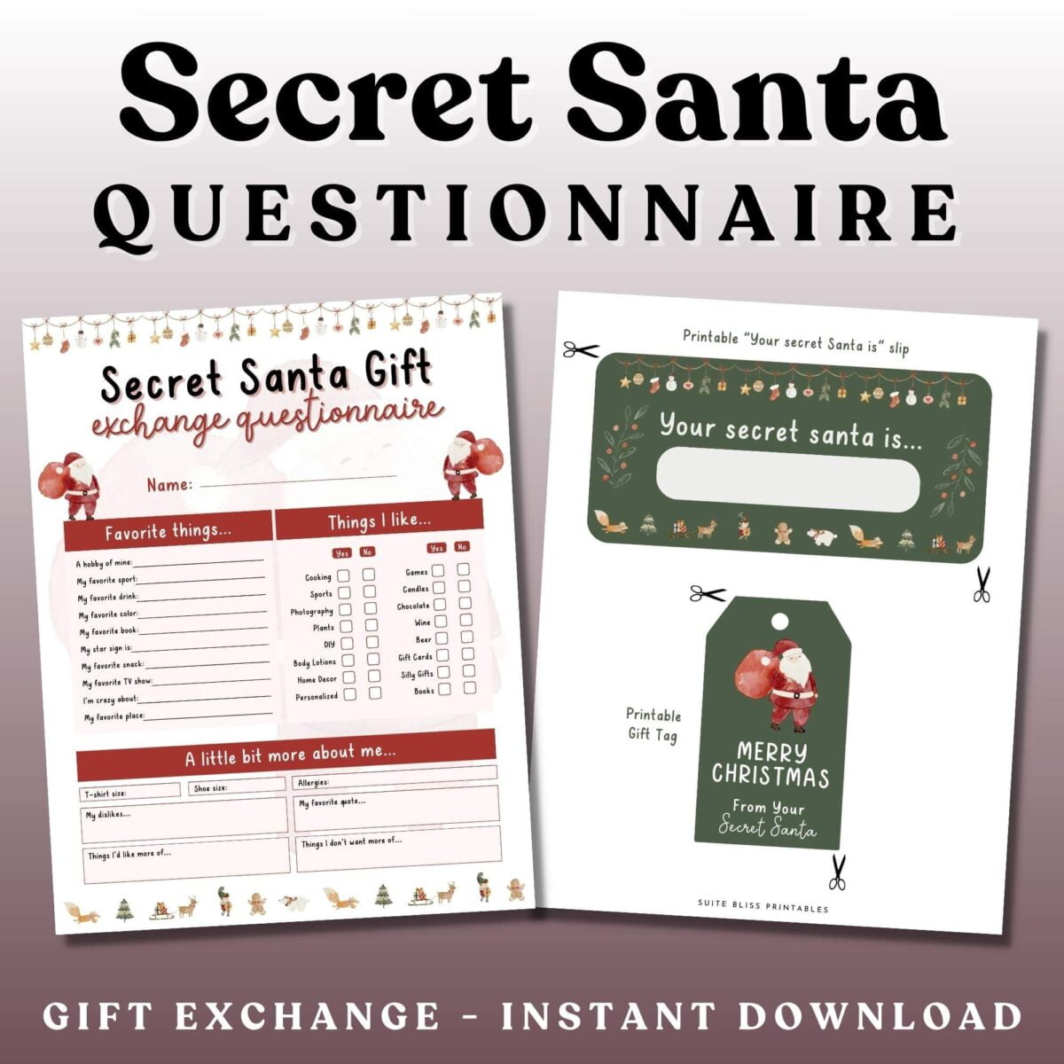 Secret Santa Questionnaire 1
